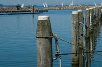 Port