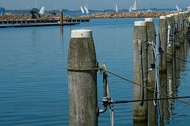 Port by Agnes Meijer