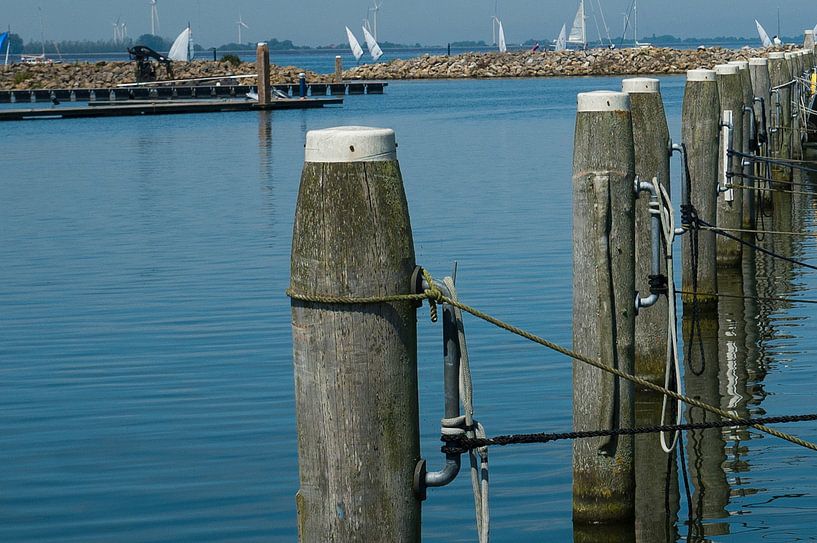 Port by Agnes Meijer