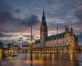 City Hall Hamburg by Das-Hamburg-Foto thumbnail