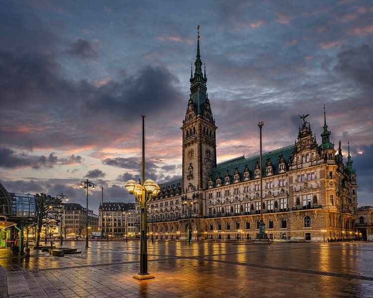 City Hall Hamburg by Das-Hamburg-Foto