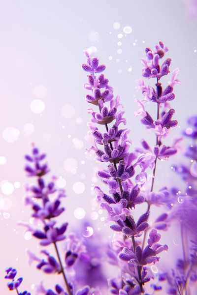 Sky zephyr blossoms by Steffen Gierok
