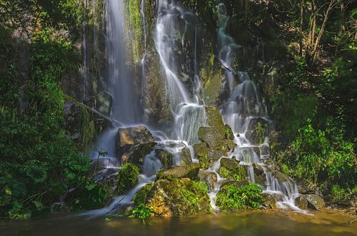 Waterfall at Spring