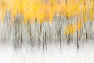 Forêt abstraite d'automne sur Ingrid Van Damme fotografie