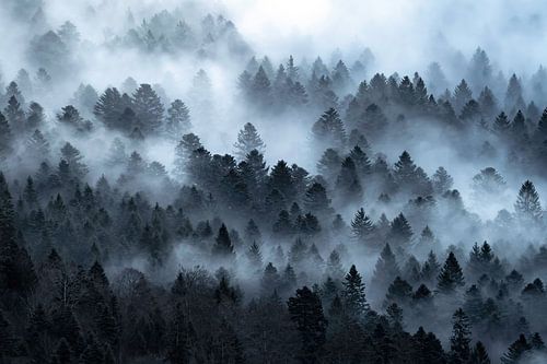 Mist in beboste bergflank