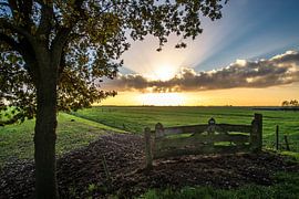 Eempolder by TH Hoang