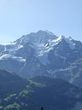 Jungfrau in al haar schoonheid van Mirjam Otto