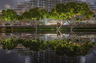 Reflections in Dubai by michael regeer thumbnail