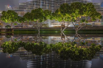 Reflections in Dubai by michael regeer