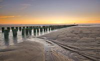 Paalhoofden Zeeland Küste von John Leeninga Miniaturansicht