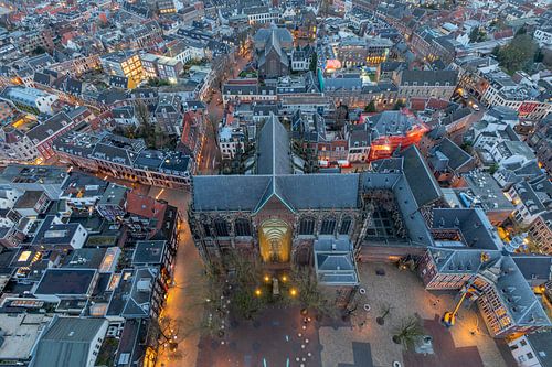 Uitzicht vanaf de Domtoren in de vroege ochtend / blauw uur