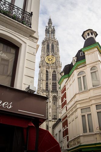 Antwerpener Kathedrale von Jim Plaum