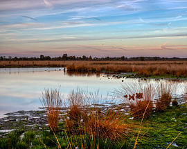 An Evening in Drenthe by Ina Bloemendal