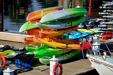 Rainbow kayaks by Frank's Awesome Travels
