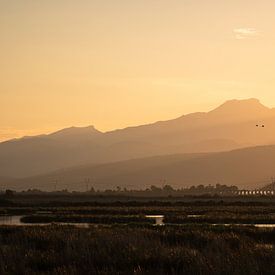 Adembenemende Zonsondergang boven de Bergen van S'Albufera, Mallorca van Ruben Van Dijk