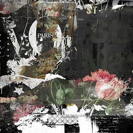 Paris von Teis Albers