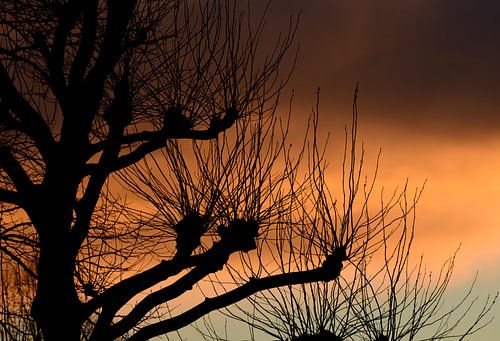 When the evening falls II