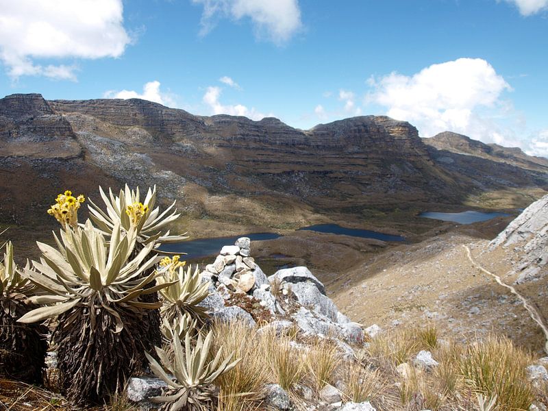 Nationaal park El Cocuy, Colombia par Roos Vogelzang