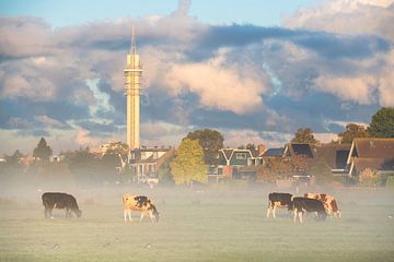 Wormer koeien met Toren van Wormer van Pieter Struiksma