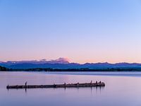 Der Baumstamm im Ammersee