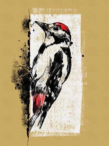 Young of a Great Spotted Woodpecker, drawing