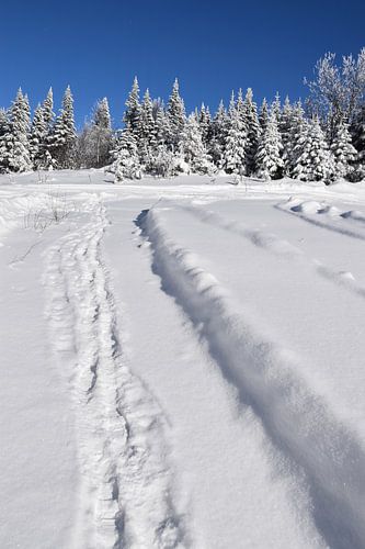 Het recreatieterrein in de winter
