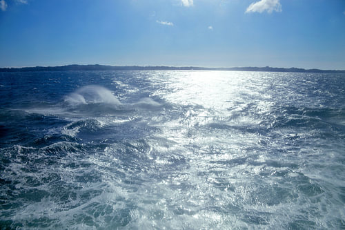 De wilde oceaan