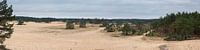 Panorama SandverwehungHulshorst von Jenco van Zalk Miniaturansicht