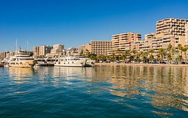 Cityscape of Palma de Majorca with marina harbor by Alex Winter