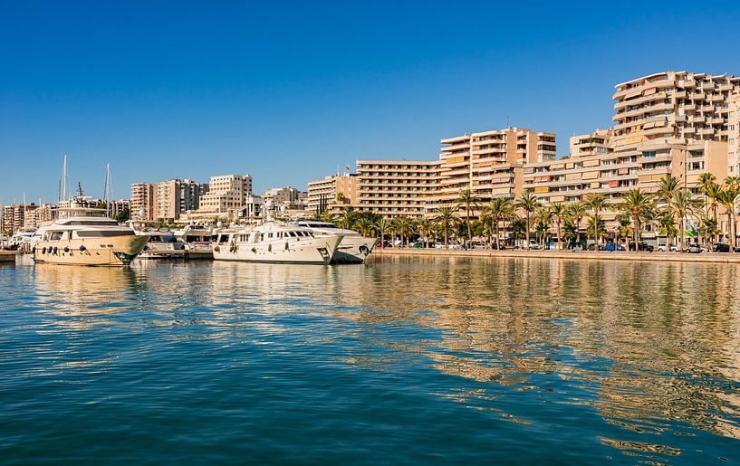Stadsgezicht van Palma de Majorca met jachthaven van Alex Winter