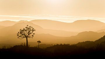 Afrikanisches Sonnenuntergangs-Panorama von Vincent de Jong