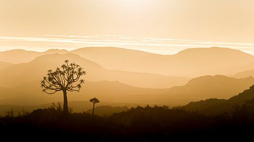 Panorama du coucher de soleil africain