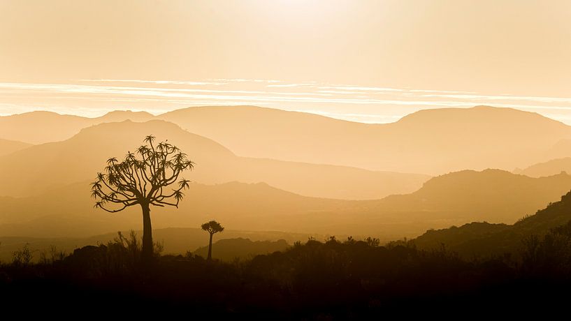 Panorama du coucher de soleil africain par Vincent de Jong