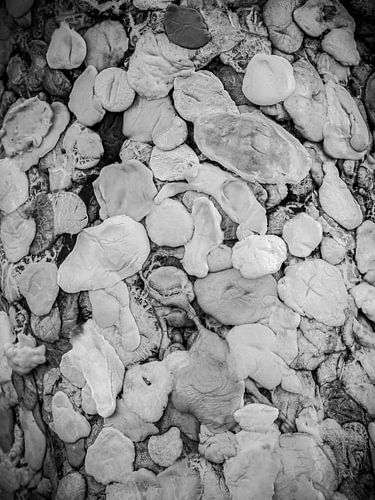 Allemagne, Berlin Chewing-gum