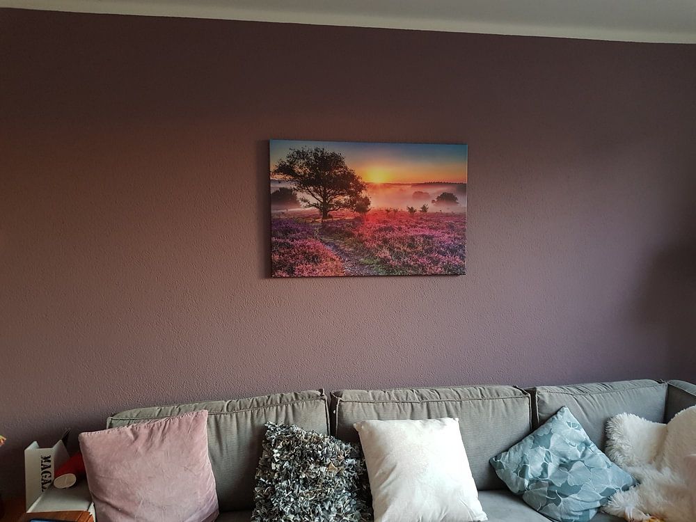 Bruyère et brouillard  par Dennisart Fotografie 