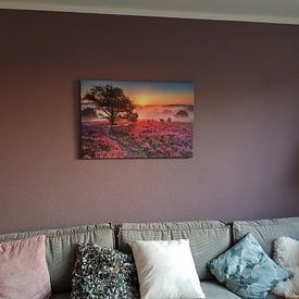 Photo de nos clients: Bruyère et brouillard par Dennisart Fotografie, sur toile