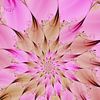Bloemster in roze en bruin van Claudia Gründler