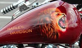 Harley Davidson von Matthias Brix