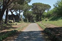 Via Appia Antica