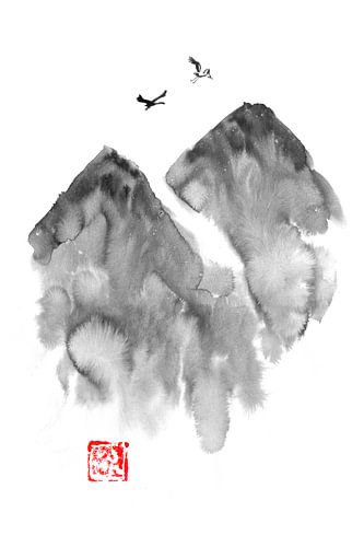 vogels boven de berg