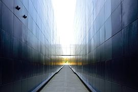 Die Reise von Frank's Awesome Travels