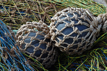Bolas