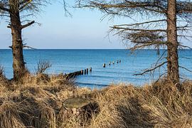 Strand an der Küste der Ostsee bei Graal Müritz von Rico Ködder