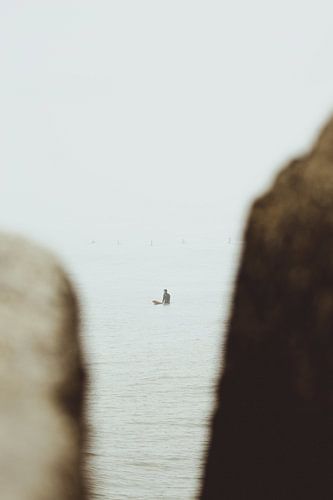 Surfer im Nebel in Scheveningen, von den Blöcken aus gesehen