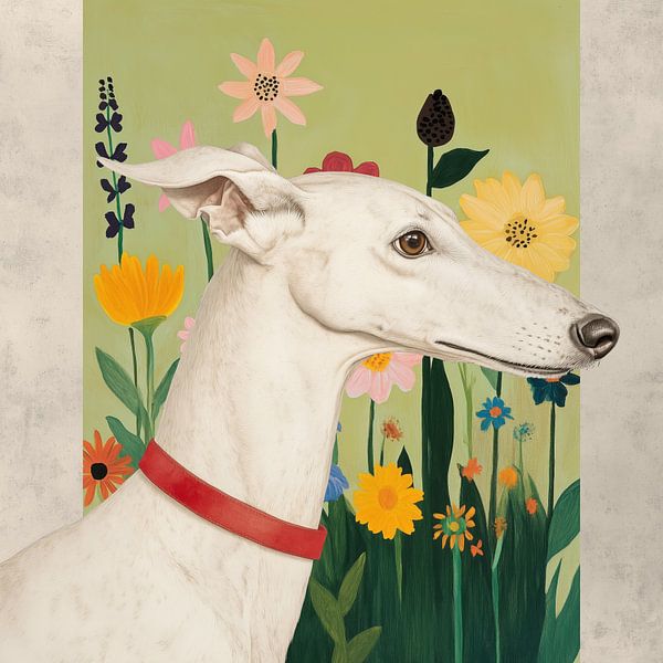 Greyhound van J.O. Han