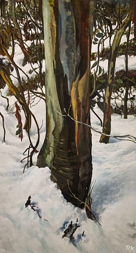 Winter landschap z03