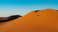 On winter sports in the Sahara