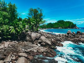 seychelles nature by matt landsman