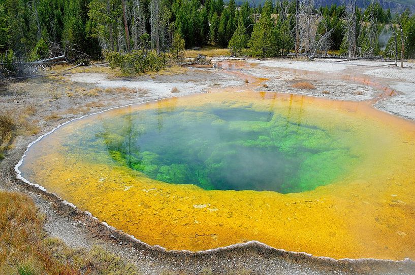 Morning Glory Pool by Frank's Awesome Travels