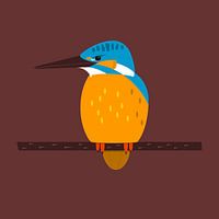De ijsvogel